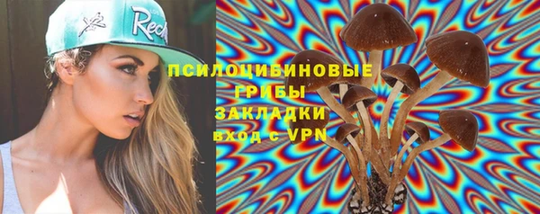 ГАЛЛЮЦИНОГЕННЫЕ ГРИБЫ Михайловск