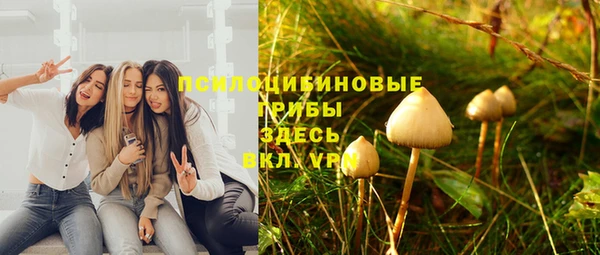 стафф Алексин