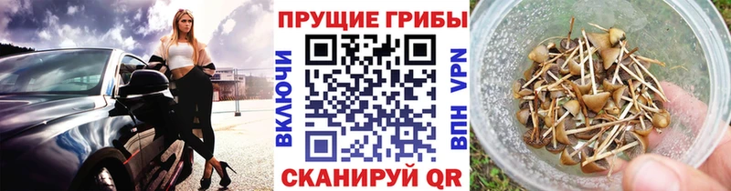 Галлюциногенные грибы Magic Shrooms  наркотики  Симферополь 